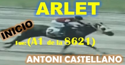 ADELANTADOS LA RINCONADA al estilo: FEEDSTOCK, DON THIAGO, FAST SENSATIONS, AMBROSIA, LINDA ESTEFANIA, MARCO ANTONIO, REGAL HOLIDAY, VICTORIA SUSEJ, SHAKMAN, VICTORIA SUSEEJ, ARLET, REINA DE REYES. (DOMINGO 08-09-2024) ARLET