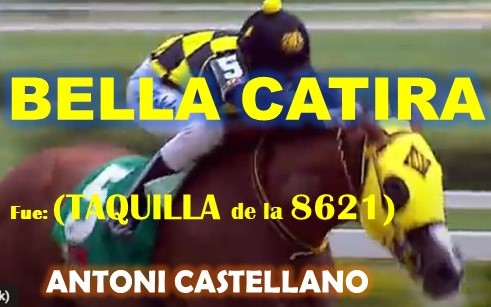 REGALOS LA RINCONADA al estilo: VICTORIA SUSEEJ, STRINDING MOON, MONEY ONE TIME, COFFE TIME, CONVERGENTE, COFFE TIME, MIEL DE CAÑA, CONVERGENTE, MASTTERY, MORO DE ORO, SPECIALEDITION, QUEEN OF SOUTH, THE MINNER BOSS. (DOMINGO 18-08-2024) BCATIRA