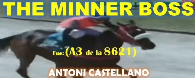 GALA HIPICA LA RINCONADA al estilo: MONEY THE BANK, REGAL HOLIDAY, VICTORIA SUSEJ, NONNI TIME, SHAKMAN, DE NENE, VICTORIA SUSEEJ, MONEY ONE TIME, COFFE TIME, MIEL DE CAÑA, MASTTERY, QUEEN OF SOUTH. (DOMINGO 25-08-2024) BOSSTH