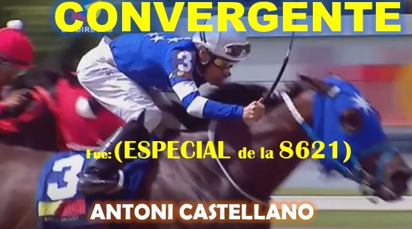 GALA HIPICA LA RINCONADA al estilo: MONEY THE BANK, REGAL HOLIDAY, VICTORIA SUSEJ, NONNI TIME, SHAKMAN, DE NENE, VICTORIA SUSEEJ, MONEY ONE TIME, COFFE TIME, MIEL DE CAÑA, MASTTERY, QUEEN OF SOUTH. (DOMINGO 25-08-2024) COVERGENTE