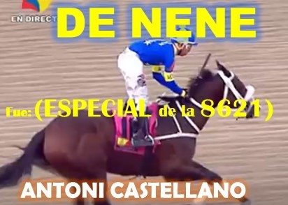 GALA HIPICA LA RINCONADA al estilo: MONEY THE BANK, REGAL HOLIDAY, VICTORIA SUSEJ, NONNI TIME, SHAKMAN, DE NENE, VICTORIA SUSEEJ, MONEY ONE TIME, COFFE TIME, MIEL DE CAÑA, MASTTERY, QUEEN OF SOUTH. (DOMINGO 25-08-2024) DENE