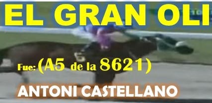 GALA HIPICA LA RINCONADA al estilo: MONEY THE BANK, REGAL HOLIDAY, VICTORIA SUSEJ, NONNI TIME, SHAKMAN, DE NENE, VICTORIA SUSEEJ, MONEY ONE TIME, COFFE TIME, MIEL DE CAÑA, MASTTERY, QUEEN OF SOUTH. (DOMINGO 25-08-2024) ELGROLI