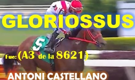 REGALOS LA RINCONADA al estilo: VICTORIA SUSEEJ, STRINDING MOON, MONEY ONE TIME, COFFE TIME, CONVERGENTE, COFFE TIME, MIEL DE CAÑA, CONVERGENTE, MASTTERY, MORO DE ORO, SPECIALEDITION, QUEEN OF SOUTH, THE MINNER BOSS. (DOMINGO 18-08-2024) GLORIOSUS