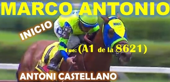 ADELANTADOS VALENCIA, LA RINCONADA al estilo: FAST SENSATIONS, AMBROSIA, LINDA ESTEFANIA, MARCO ANTONIO, MONEY THE BANK, REGAL HOLIDAY, VICTORIA SUSEJ, SHAKMAN, VICTORIA SUSEEJ, QUEEN OF SOUTH. (SABADO 31-08, DOMINGO 01-09-2024) MANTONIO