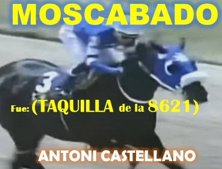 ADELANTADOS VALENCIA, LA RINCONADA al estilo: VICTORIA SUSEEJ, STRINDING MOON, MONEY ONE TIME, COFFE TIME, CONVERGENTE, COFFE TIME, MIEL DE CAÑA, CONVERGENTE, MASTTERY, MORO DE ORO, SPECIALEDITION. (SABADO 17-08, DOMINGO 18-08-2024) MOSCABADSO