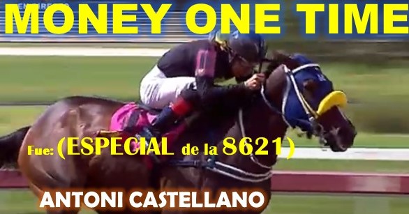 GALA HIPICA LA RINCONADA al estilo: MONEY THE BANK, REGAL HOLIDAY, VICTORIA SUSEJ, NONNI TIME, SHAKMAN, DE NENE, VICTORIA SUSEEJ, MONEY ONE TIME, COFFE TIME, MIEL DE CAÑA, MASTTERY, QUEEN OF SOUTH. (DOMINGO 25-08-2024) ONETIME