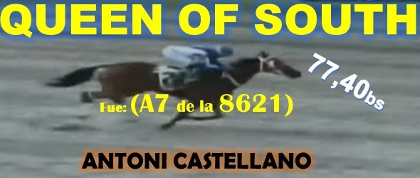 ADELANTADOS VALENCIA, LA RINCONADA al estilo: FAST SENSATIONS, AMBROSIA, LINDA ESTEFANIA, MARCO ANTONIO, MONEY THE BANK, REGAL HOLIDAY, VICTORIA SUSEJ, SHAKMAN, VICTORIA SUSEEJ, QUEEN OF SOUTH. (SABADO 31-08, DOMINGO 01-09-2024) QOFSOUTG