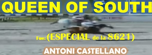 GALA HIPICA LA RINCONADA al estilo: MONEY THE BANK, REGAL HOLIDAY, VICTORIA SUSEJ, NONNI TIME, SHAKMAN, DE NENE, VICTORIA SUSEEJ, MONEY ONE TIME, COFFE TIME, MIEL DE CAÑA, MASTTERY, QUEEN OF SOUTH. (DOMINGO 25-08-2024) QUEOFDSPOUTJ