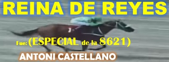 REGALOS LA RINCONADA al estilo: FAST SENSATIONS, AMBROSIA, LINDA ESTEFANIA, MARCO ANTONIO, MONEY THE BANK, REGAL HOLIDAY, VICTORIA SUSEJ, SHAKMAN, VICTORIA SUSEEJ, ARLET, REINA DE REYES. (DOMINGO 01-09-2024) RDEREYES