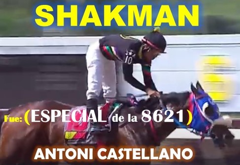 ADELANTADOS VALENCIA, LA RINCONADA al estilo: FAST SENSATIONS, AMBROSIA, LINDA ESTEFANIA, MARCO ANTONIO, MONEY THE BANK, REGAL HOLIDAY, VICTORIA SUSEJ, SHAKMAN, VICTORIA SUSEEJ, QUEEN OF SOUTH. (SABADO 31-08, DOMINGO 01-09-2024) SHAKAMN