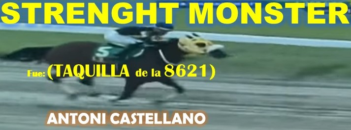 ADELANTADOS LA RINCONADA al estilo: FEEDSTOCK, DON THIAGO, FAST SENSATIONS, AMBROSIA, LINDA ESTEFANIA, MARCO ANTONIO, REGAL HOLIDAY, VICTORIA SUSEJ, SHAKMAN, VICTORIA SUSEEJ, ARLET, REINA DE REYES. (DOMINGO 08-09-2024) SMONTES