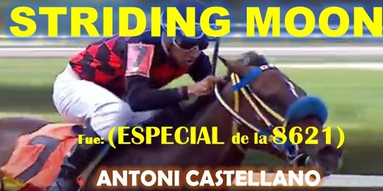 ADELANTADOS VALENCIA, LA RINCONADA al estilo: VICTORIA SUSEEJ, STRINDING MOON, MONEY ONE TIME, COFFE TIME, CONVERGENTE, COFFE TIME, MIEL DE CAÑA, CONVERGENTE, DE NENE, MASTTERY, MORO DE ORO, MASTTERY, SPECIALEDITION. (SABADO 17-08, DOMINGO 18-08-2024). SMOON