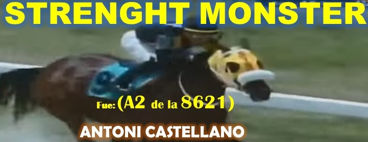 GALA HIPICA LA RINCONADA al estilo: MONEY THE BANK, REGAL HOLIDAY, VICTORIA SUSEJ, NONNI TIME, SHAKMAN, DE NENE, VICTORIA SUSEEJ, MONEY ONE TIME, COFFE TIME, MIEL DE CAÑA, MASTTERY, QUEEN OF SOUTH. (DOMINGO 25-08-2024) STMONTER