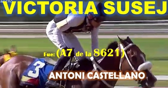 SUPERFIJOS HIPODROMO VALENCIA, LA RINCONADA al estilo: FAST SENSATIONS, AMBROSIA, LINDA ESTEFANIA, MARCO ANTONIO, MONEY THE BANK, REGAL HOLIDAY, VICTORIA SUSEJ, SHAKMAN, VICTORIA SUSEEJ, QUEEN OF SOUTH. (SABADO 31-08, DOMINGO 01-09-2024) VSUSEJ