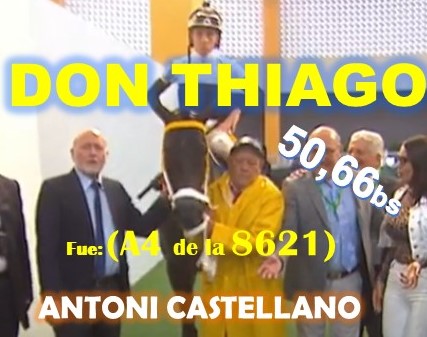 ADELANTADOS LA RINCONADA al estilo: FEEDSTOCK, DON THIAGO, FAST SENSATIONS, AMBROSIA, LINDA ESTEFANIA, MARCO ANTONIO, REGAL HOLIDAY, VICTORIA SUSEJ, SHAKMAN, VICTORIA SUSEEJ, ARLET, REINA DE REYES. (DOMINGO 08-09-2024) DONTHIAGO