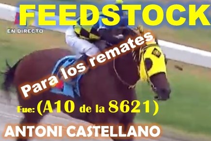 SUPERFIJOS LA RINCONADA al estilo: FEEDSTOCK, DON THIAGO, FAST SENSATIONS, AMBROSIA, LINDA ESTEFANIA, MARCO ANTONIO, REGAL HOLIDAY, VICTORIA SUSEJ, SHAKMAN, VICTORIA SUSEEJ, ARLET, REINA DE REYES. (DOMINGO 08-09-2024) FEEDSOTS