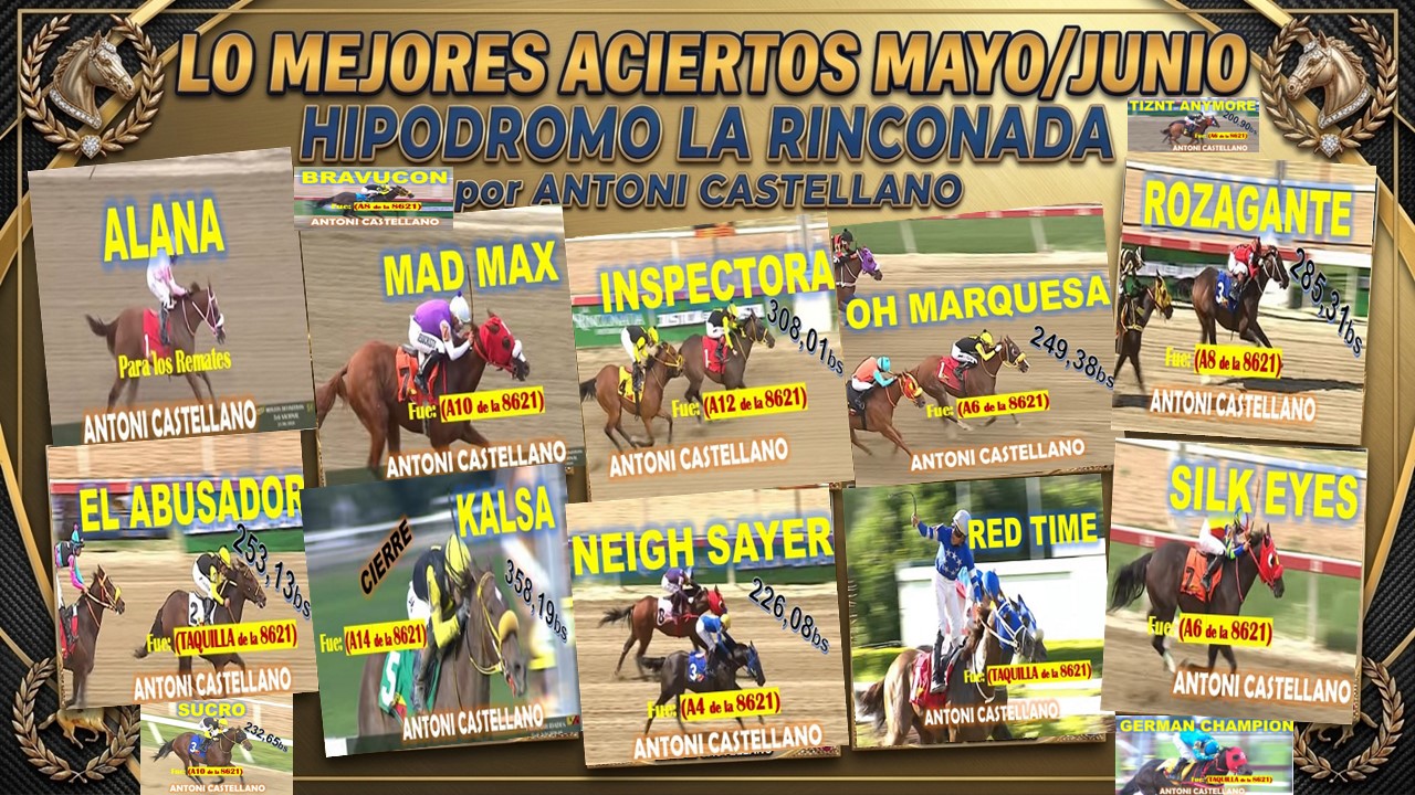 Resumen Rinconada