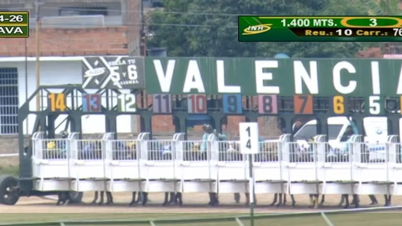 Miniatura de 🏆ACIERTOS DESTACADOS: HIPÓDROMO DE VALENCIA