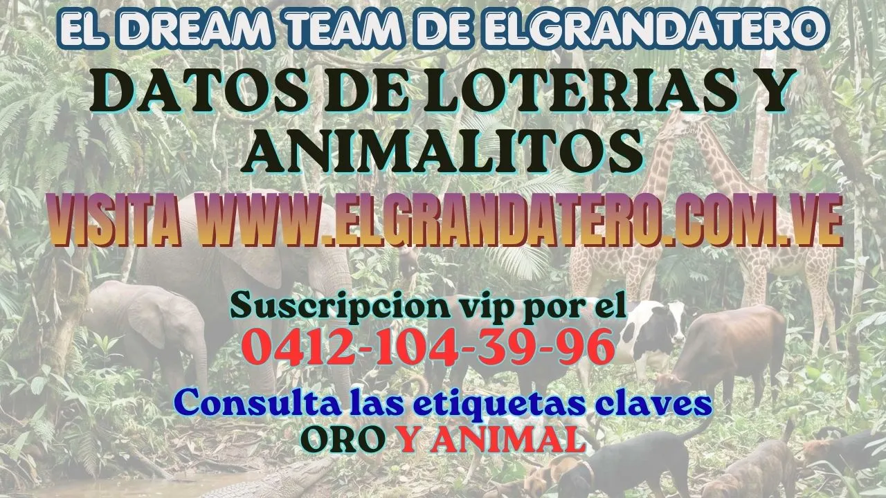 Miniatura de DATOS DE LOTERIAS Y ANIMALITOS JUEVES 18/06/2026 ELGRANDATERO JOSE EREU