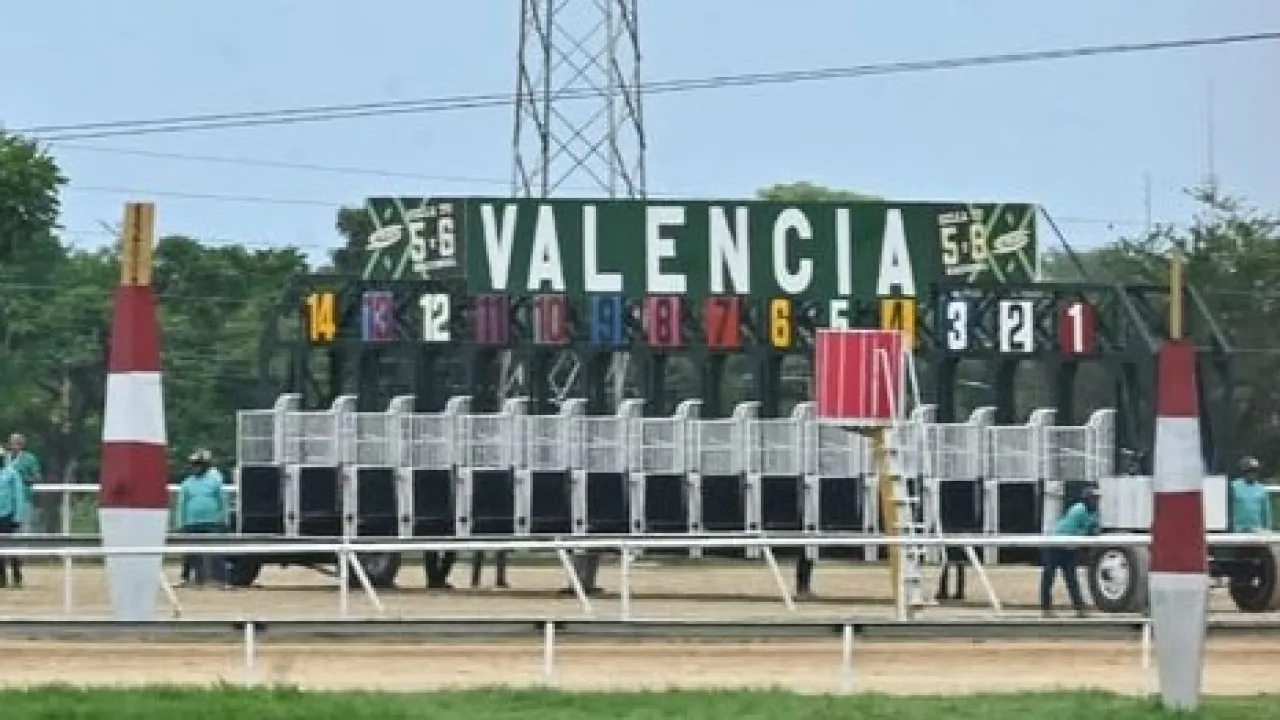 Miniatura de Análisis Hipódromo Valencia, Sábado 08 Agosto 2026 | Lcdo Antoni Castellano |